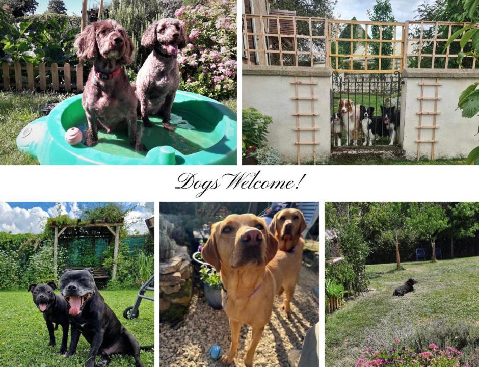 Photo of Others in Saint-Jeanvrin