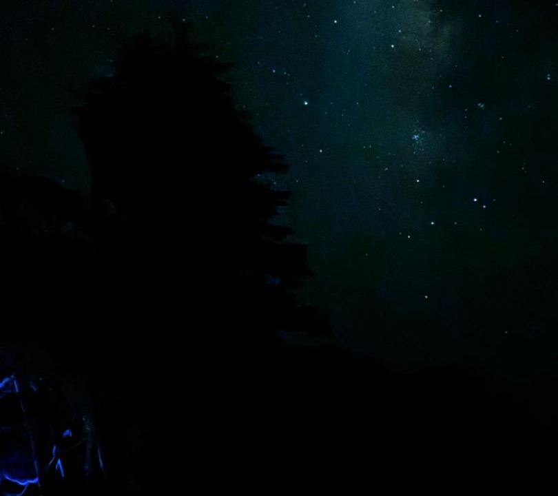 Photo of Others in Philo