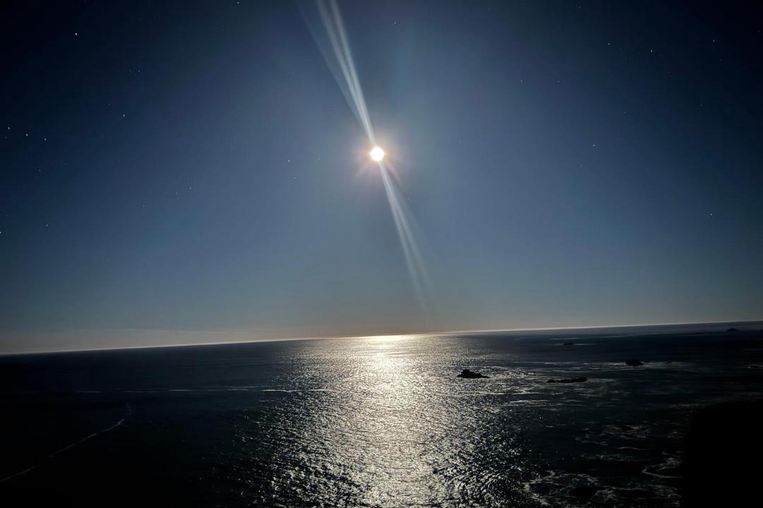 Photo of Others in Philo