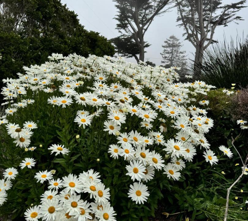 Photo of Others in Philo