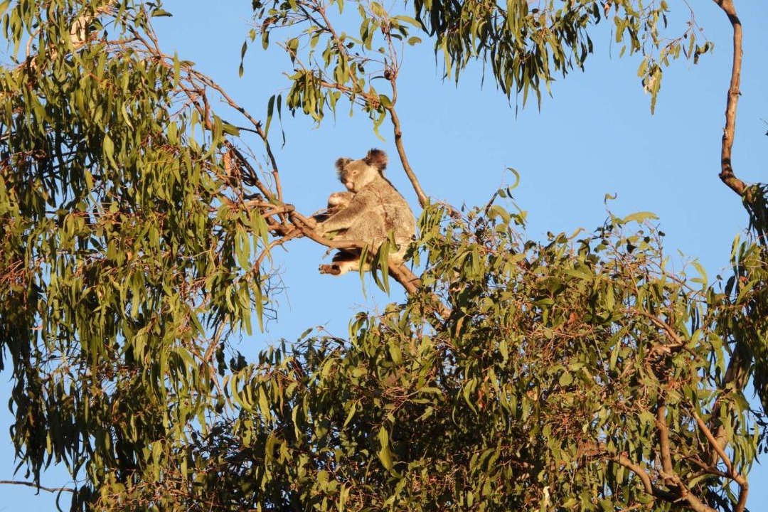 Photo of Others in Kilkivan