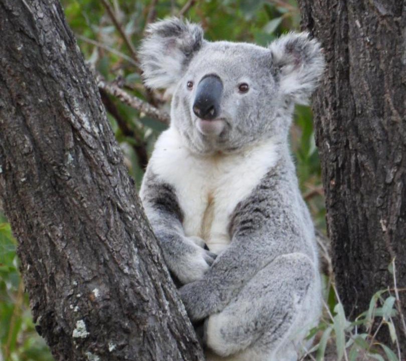 Photo of Others in Kilkivan