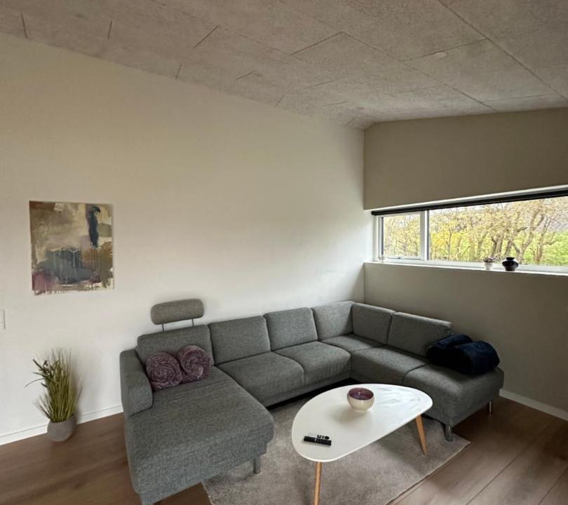 Photo of Livingroom in Holstebro