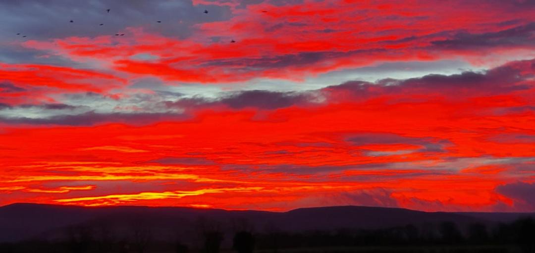 Photo of Others in Staddlebridge