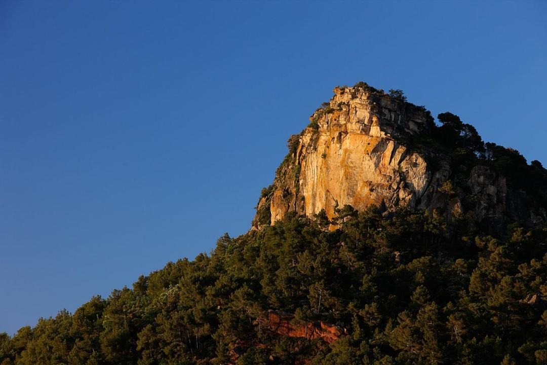 Photo of Others in Falset