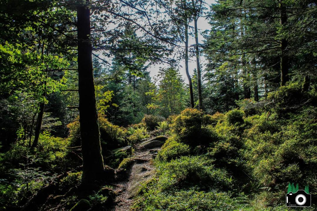 Photo of Others in Vecoux