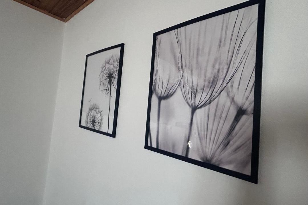 Photo of Others in Mane