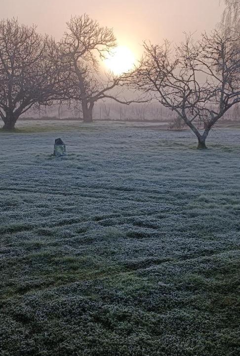 Photo of Others in Jau-Dignac-et-Loirac