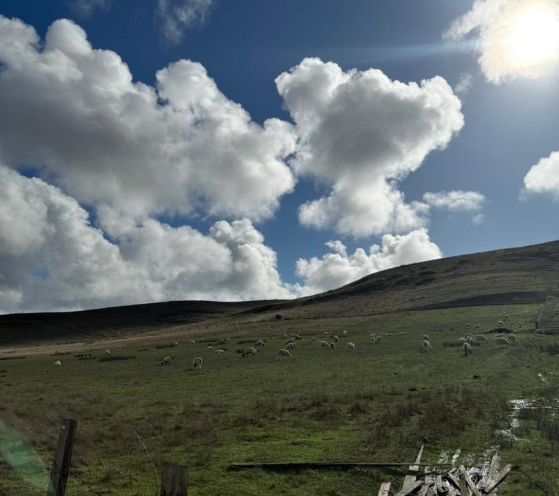 Photo of Others in Sonoma County