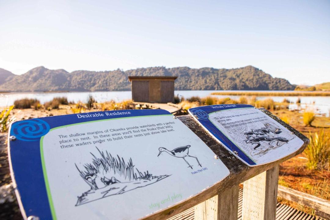 Photo of Others in Lake Okareka