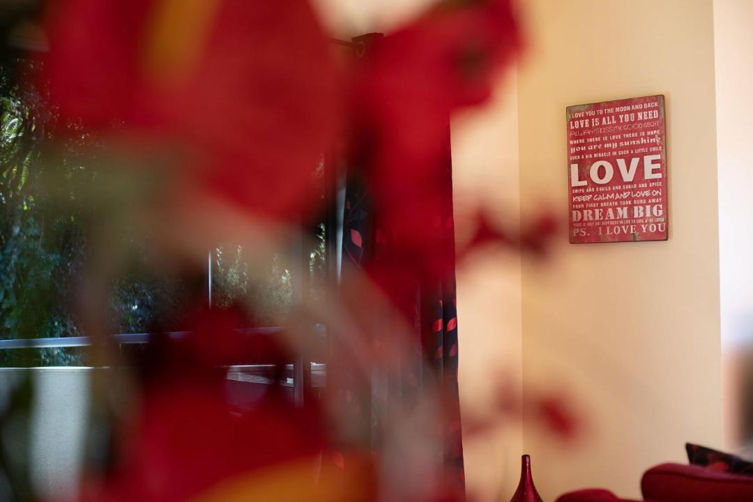 Photo of Others in Lake Okareka