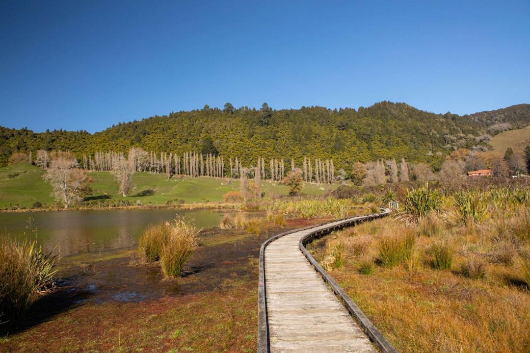 Photo of Others in Lake Okareka