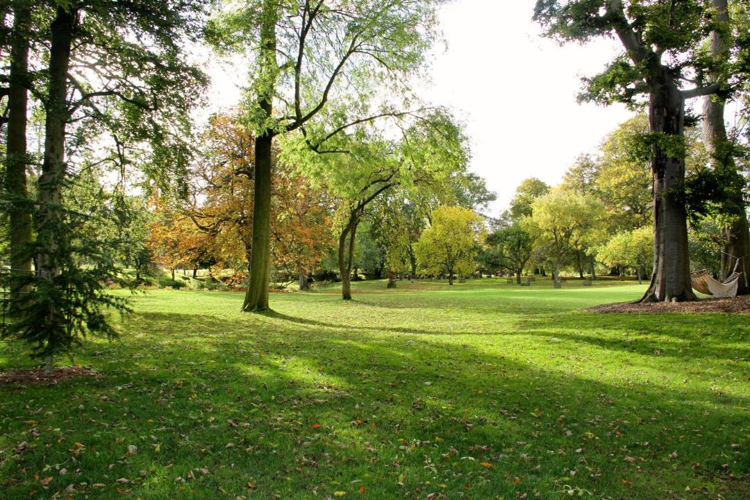 Photo of Others in The Pelhams