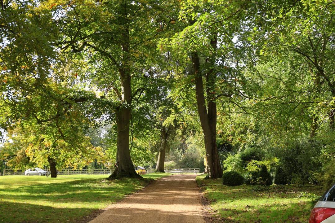 Photo of Others in The Pelhams