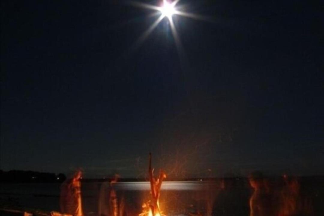 Photo of Others in Malletts Bay