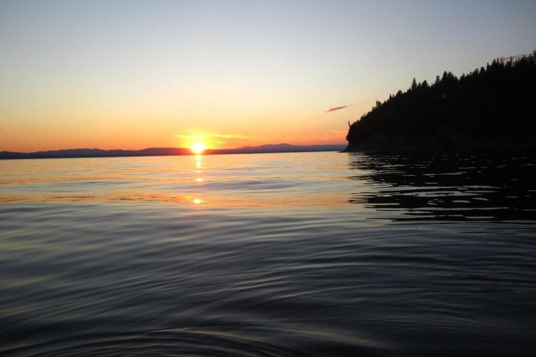 Photo of Others in Malletts Bay