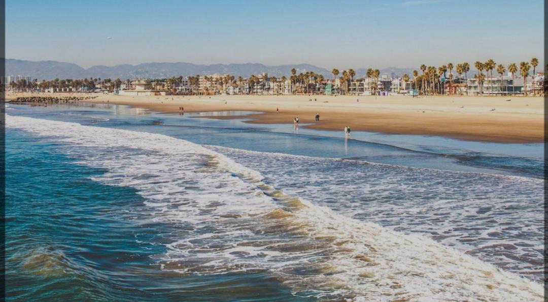 Photo of Others in Del Rey