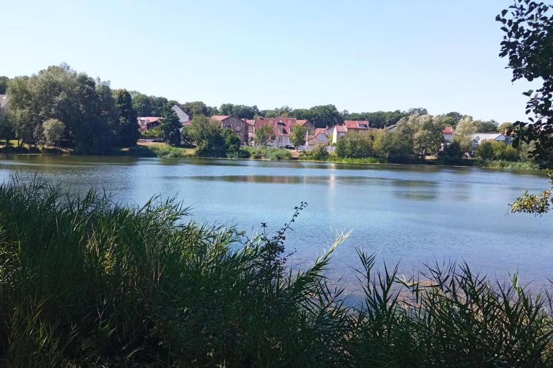 Photo of Others in Velizy-Villacoublay