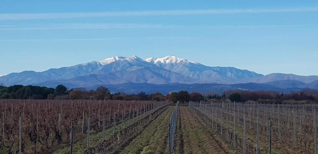 Photo of Others in Sorede