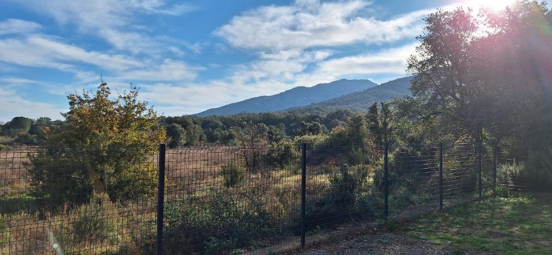 Photo of Others in Sorede