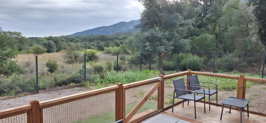 Photo of Others in Sorede