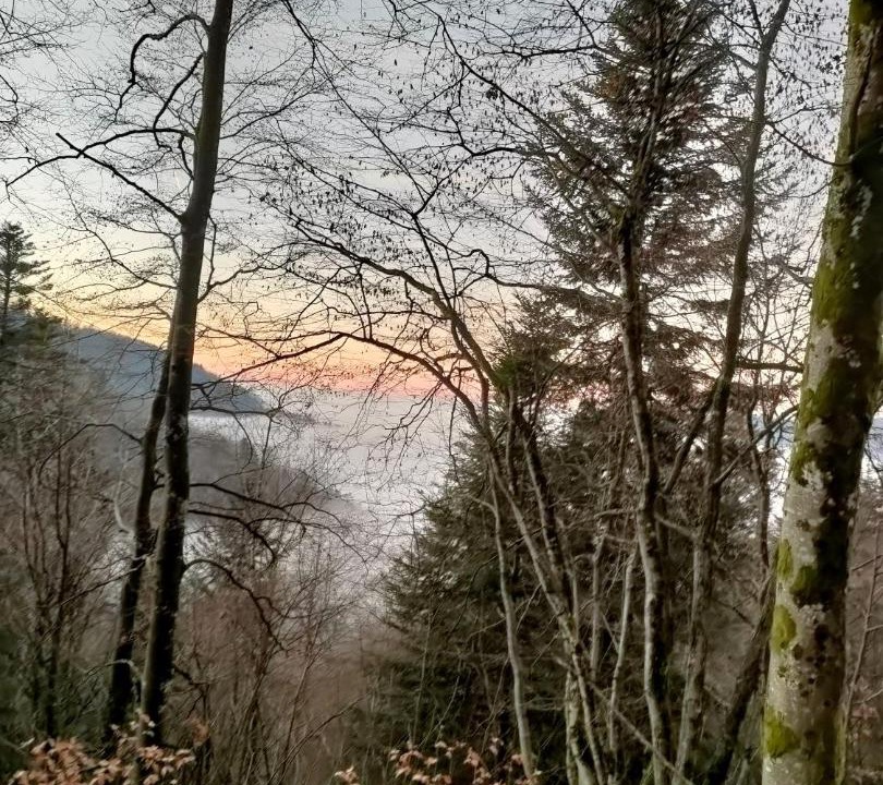 Photo of Others in Fresse