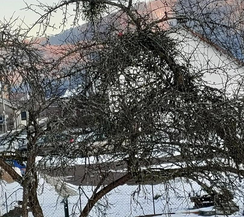 Photo of Others in Fresse