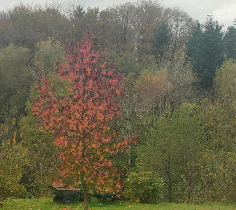 Photo of Others in Fresse