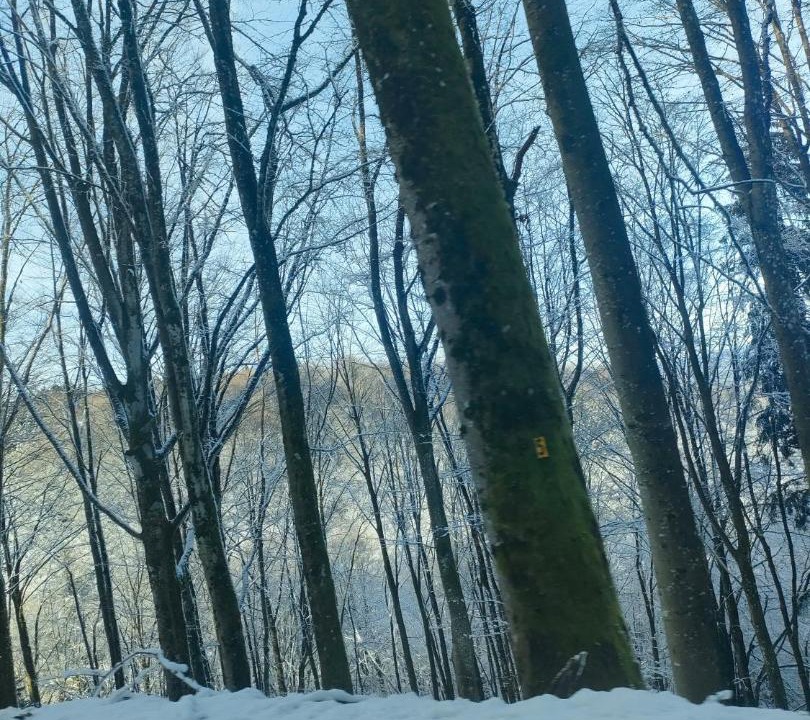 Photo of Others in Fresse