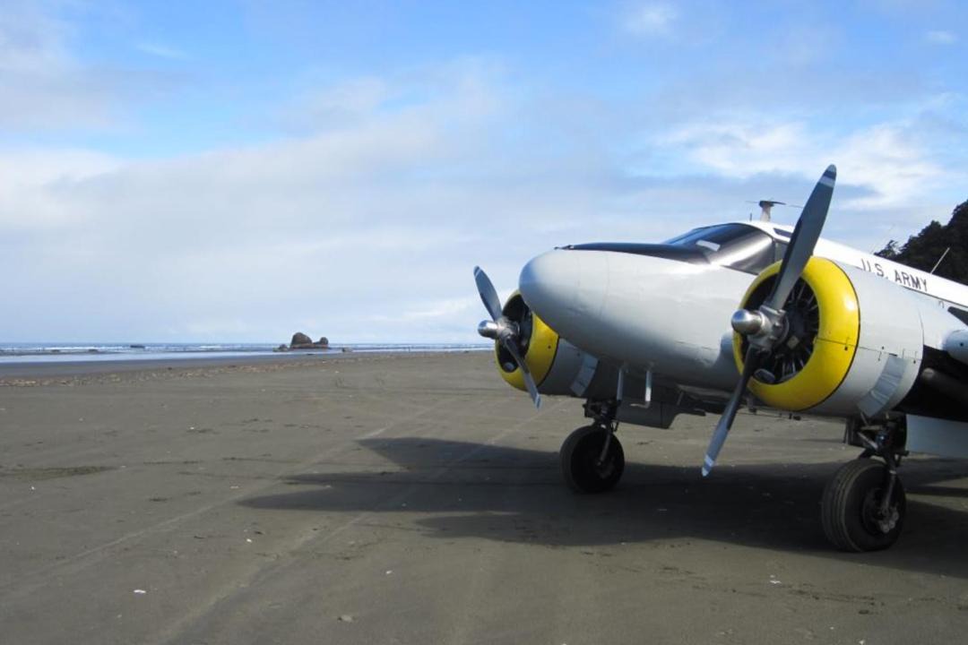 Photo of Others in Copalis Beach
