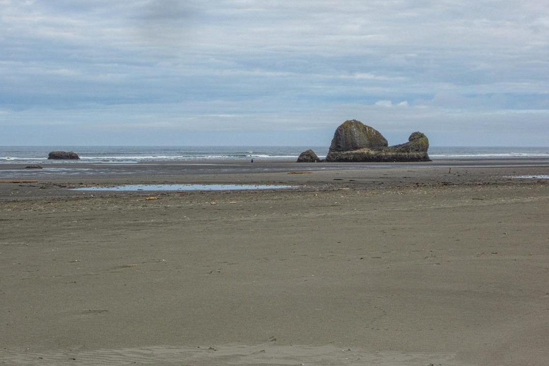 Photo of Others in Copalis Beach