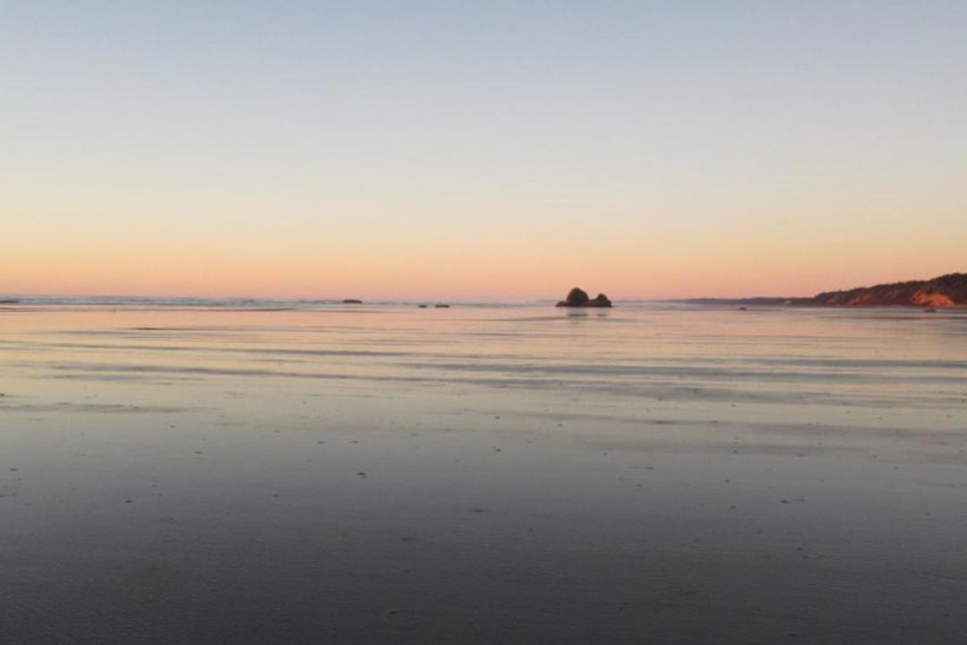 Photo of Others in Copalis Beach