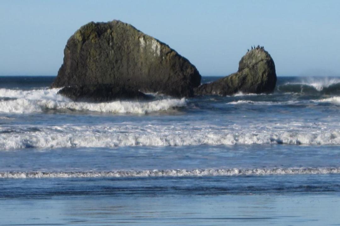 Photo of Others in Copalis Beach