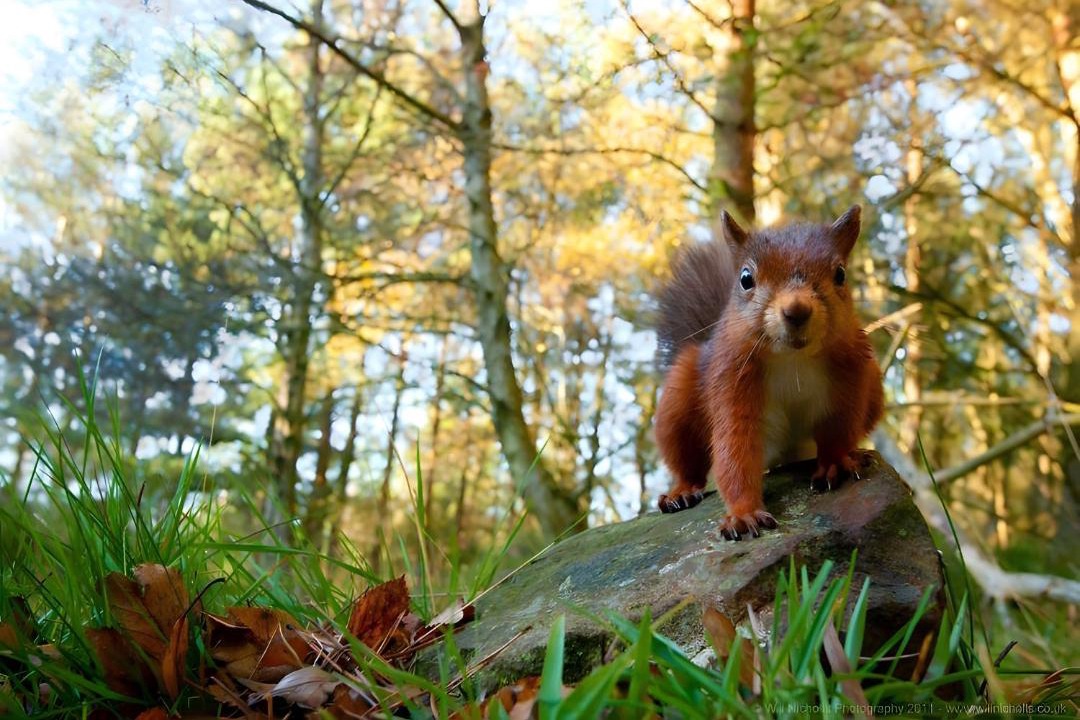 Photo of Others in Payzac