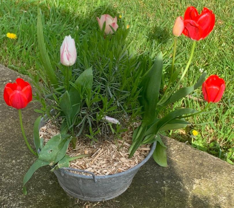 Photo of Outdoor in Quettehou