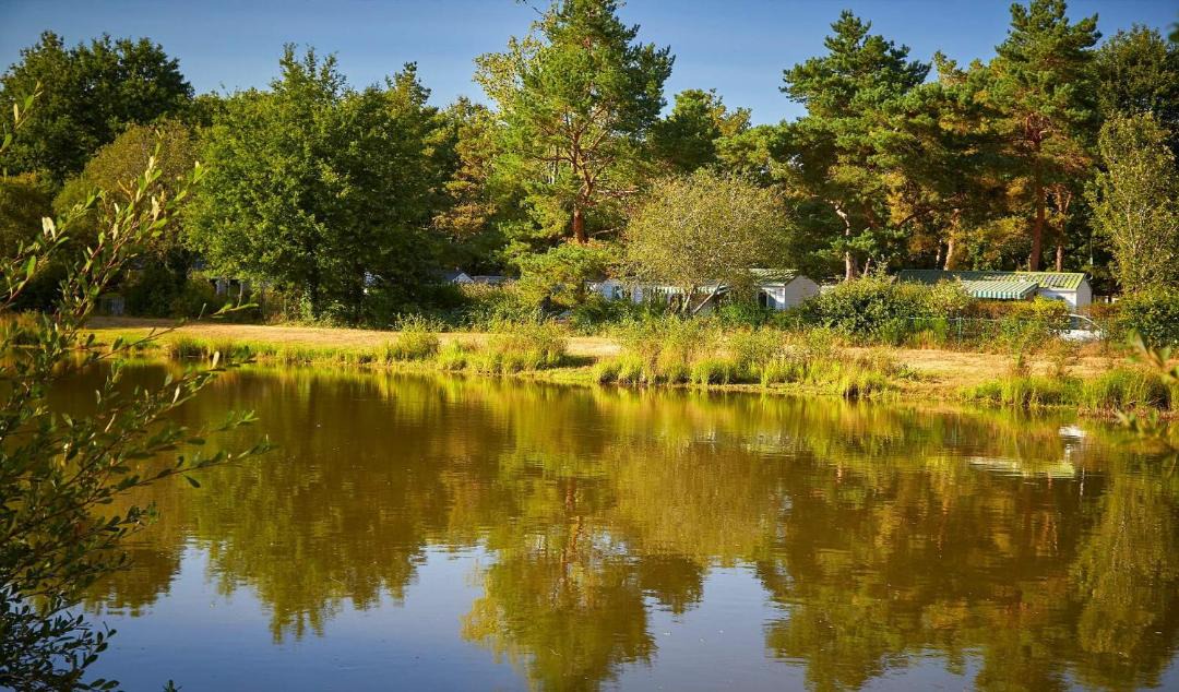 Photo of Others in La Boissiere-de-Montaigu