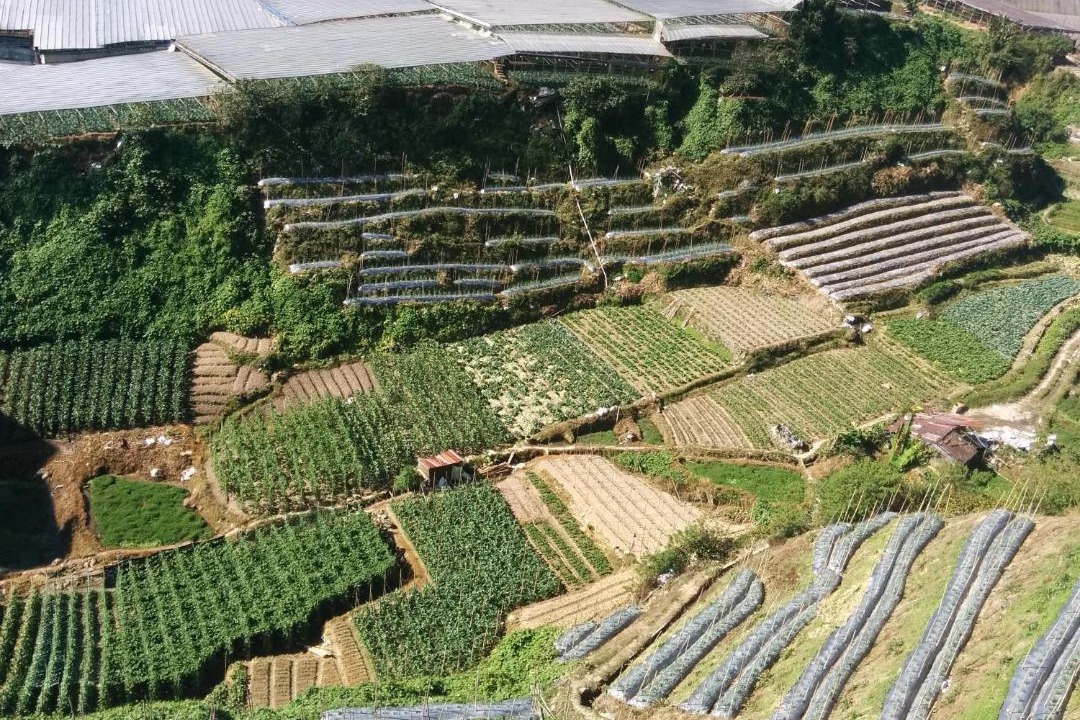 Photo of Others in Brinchang