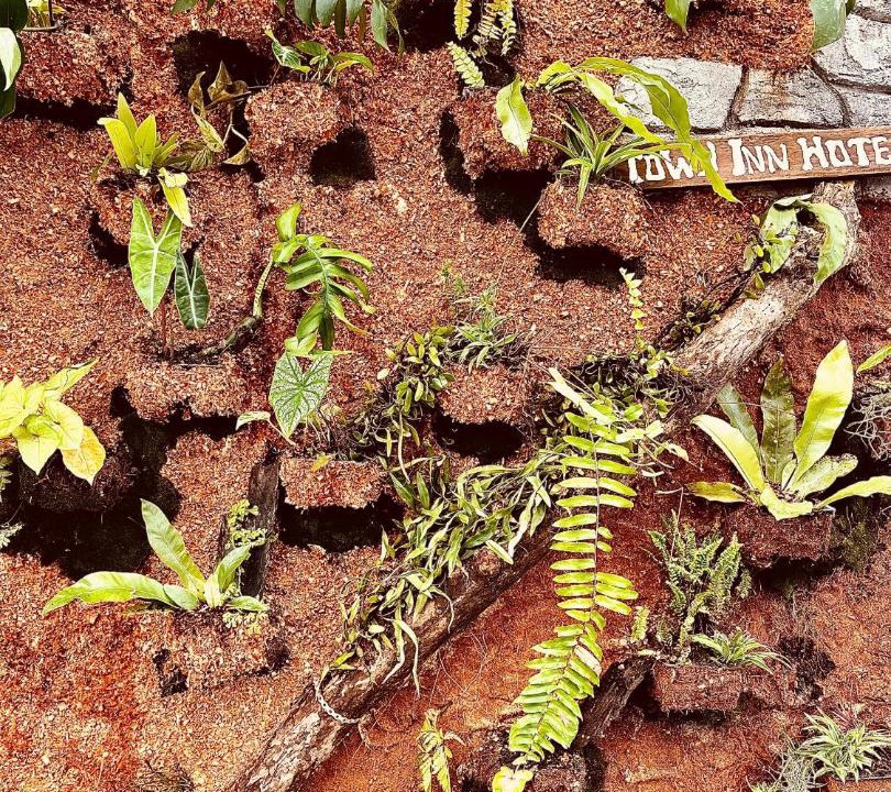 Photo of Others in Sungai Jan