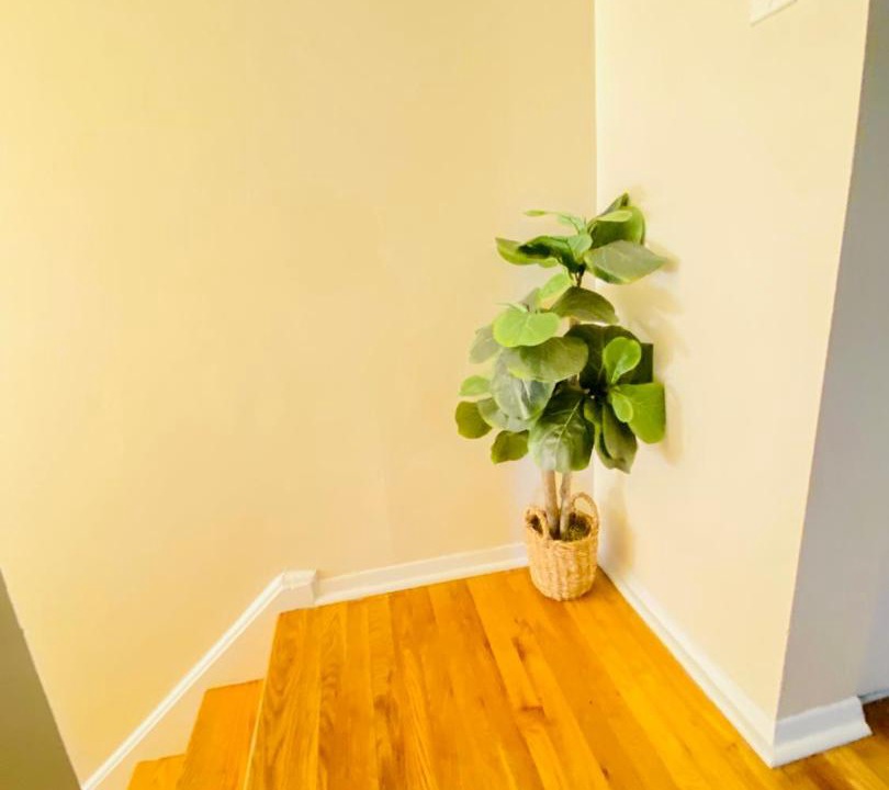 Photo of Others in Laurel