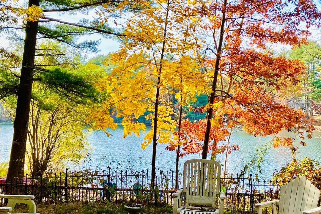 Photo of Others in Plymouth