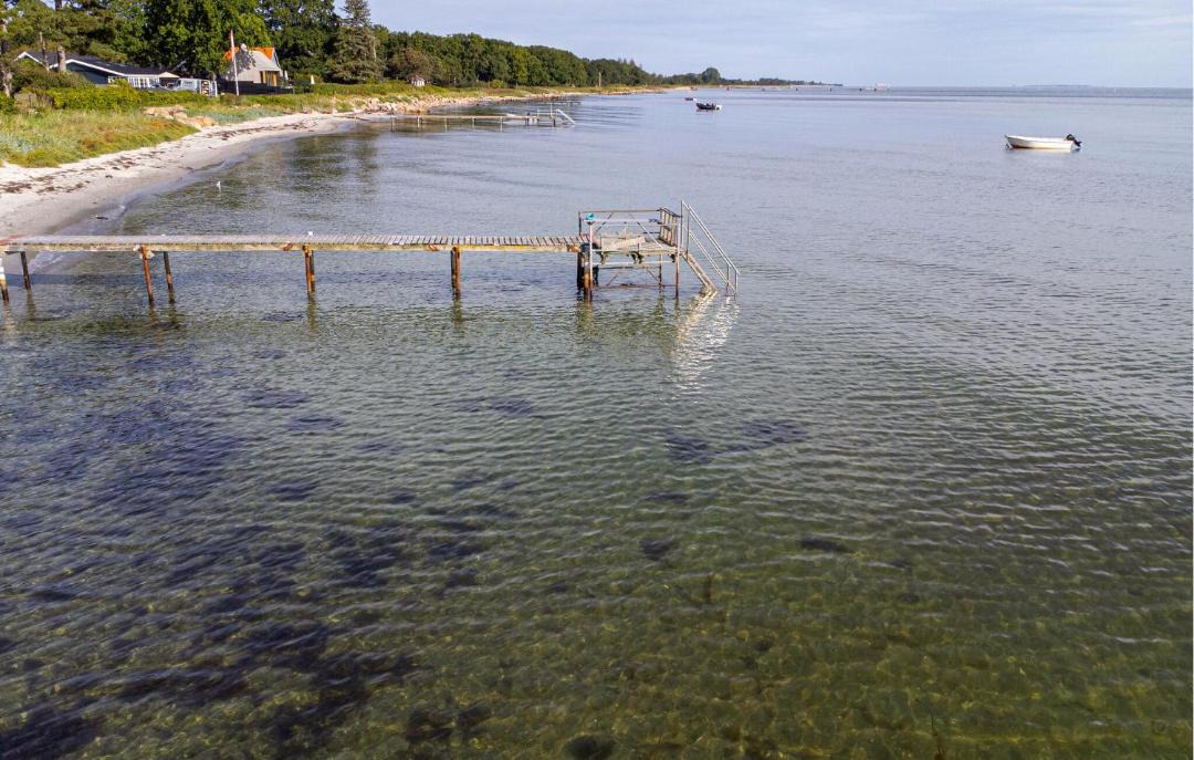 Photo of Others in Hou