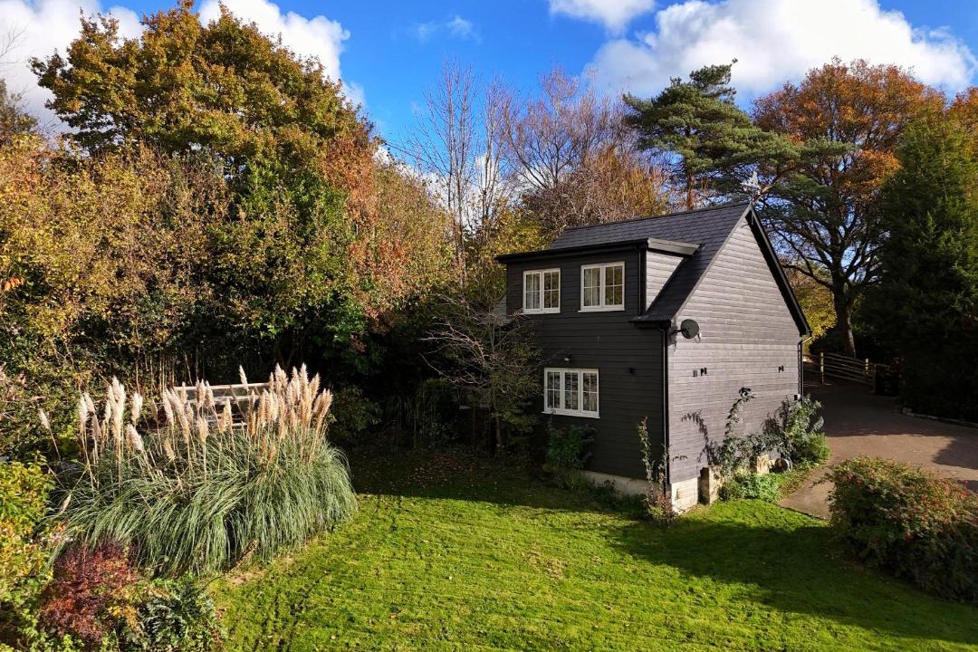 Photo of Others in Sheffield Green