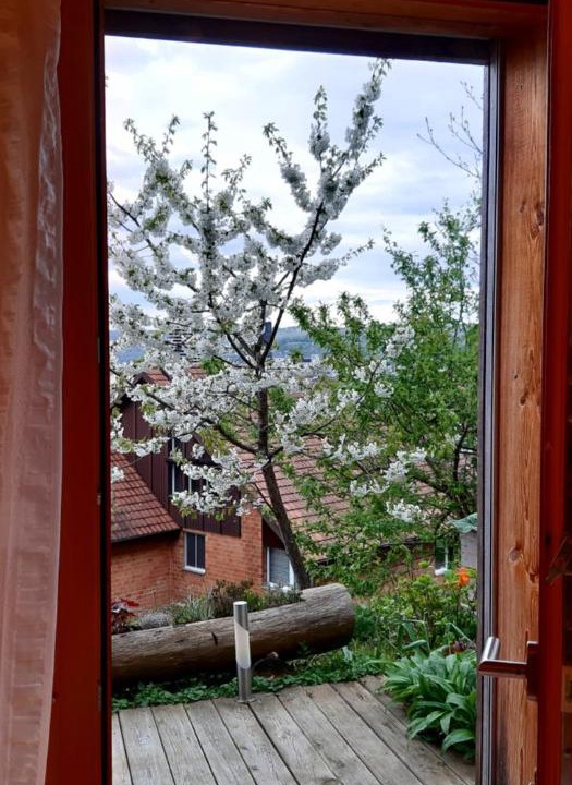 Photo of Others in Pratteln