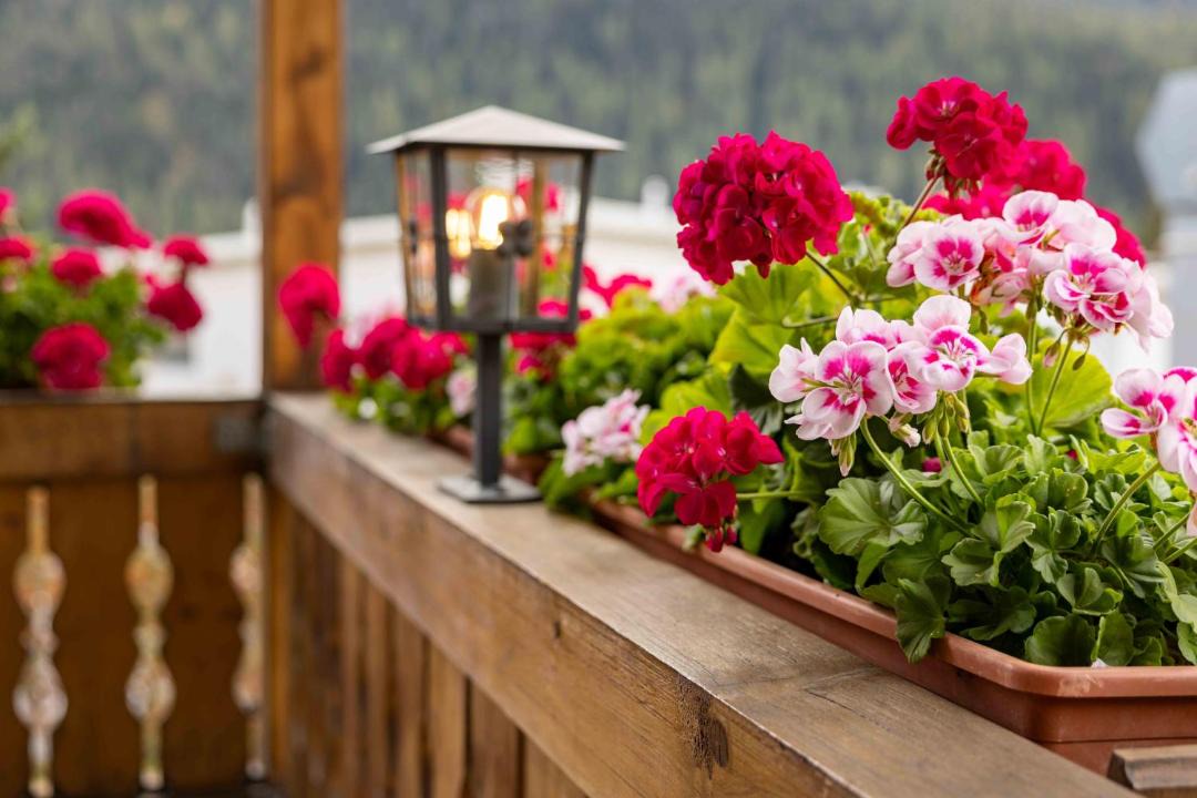 Photo of Patio Balcony in Engadin Scoul