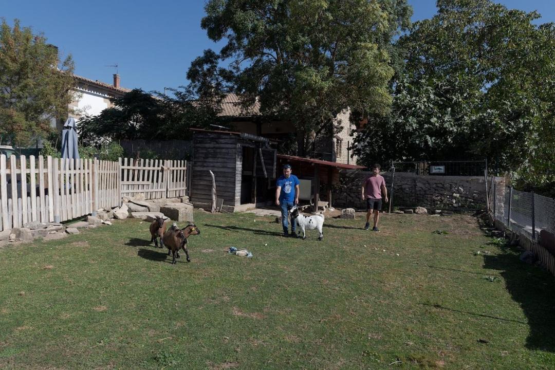 Photo of Others in Amescoa Baja