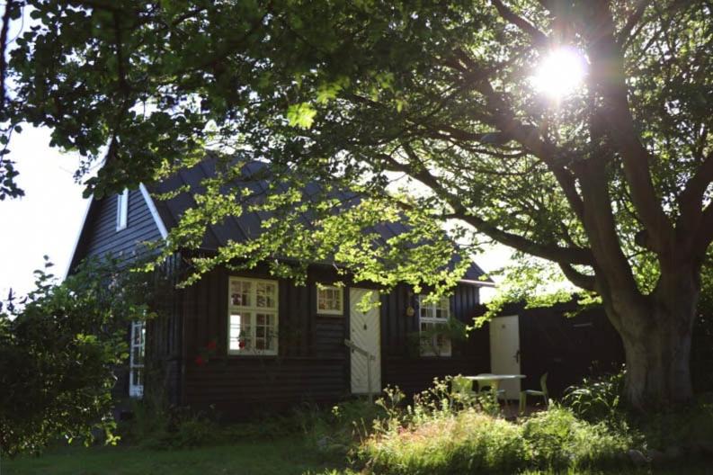 Photo of Others in Kalundborg