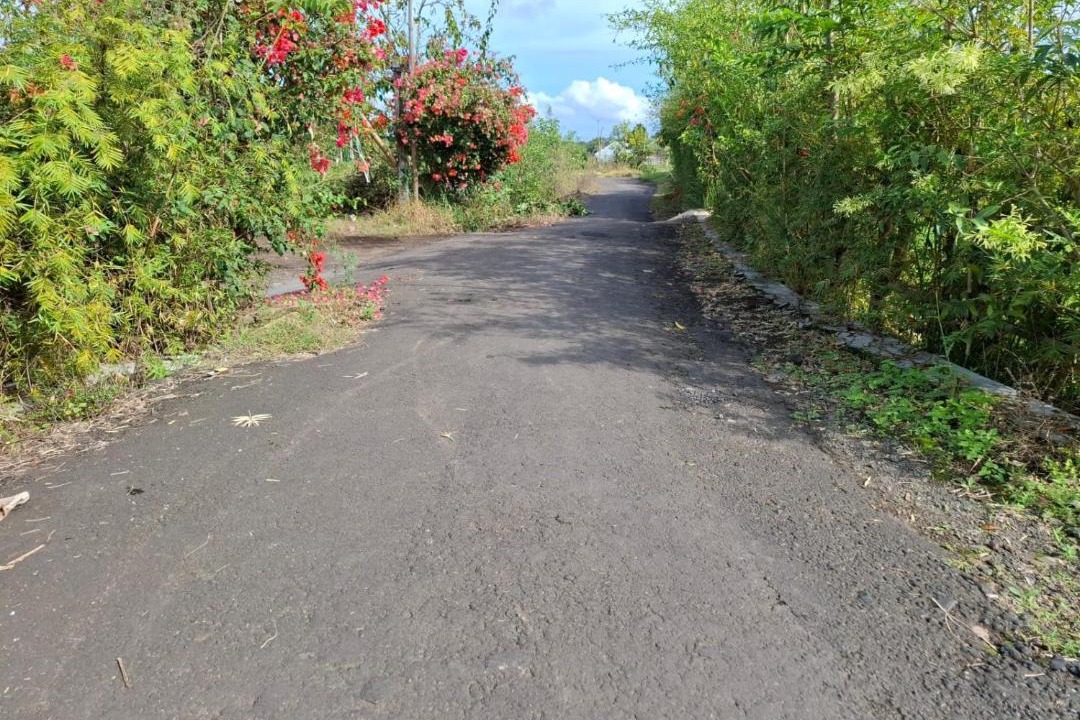 Photo of Outdoor in Bayan