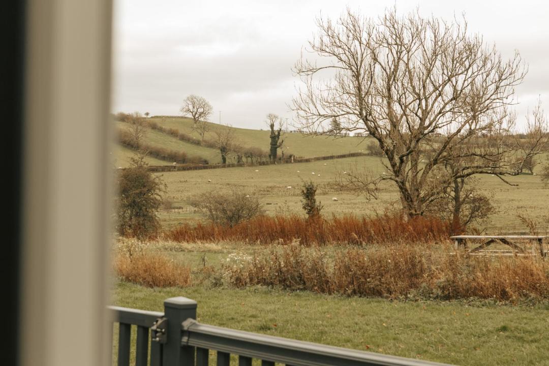 Photo of Others in Wigton