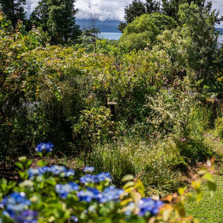 Photo of Others in Lake Tarawera