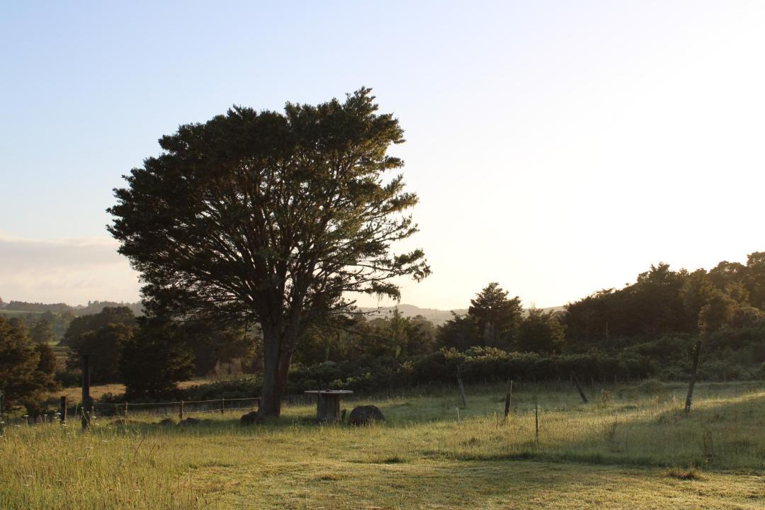 Photo of Others in Waimate North